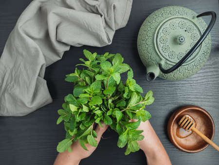 Hands holding fresh mint leaves and Asian tea pot on the black table.