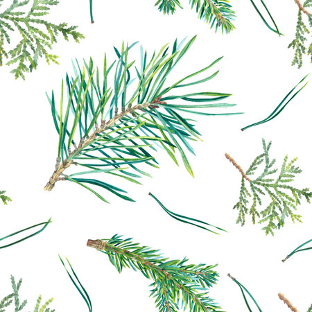 Seamless pattern with pine and fir branch, needles. Hand drawn watercolor illustration of evergreen tree. Background with coniferous twigs for Christmas, New Year decoration.の写真素材