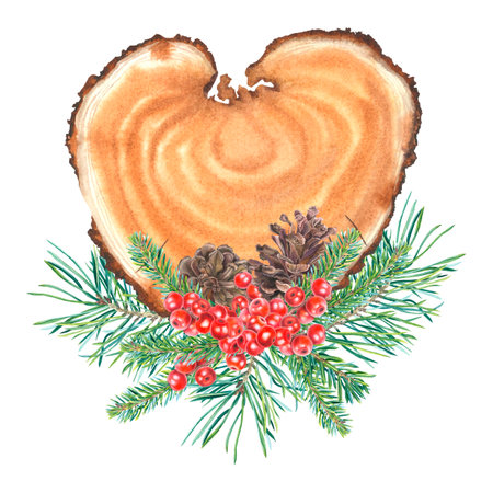 Heart shape wood slice, pine, fir branches, holly berries, pine cones. Hand drawn watercolor illustration of Christmas frame on isolated background for New Year party invitations.の写真素材