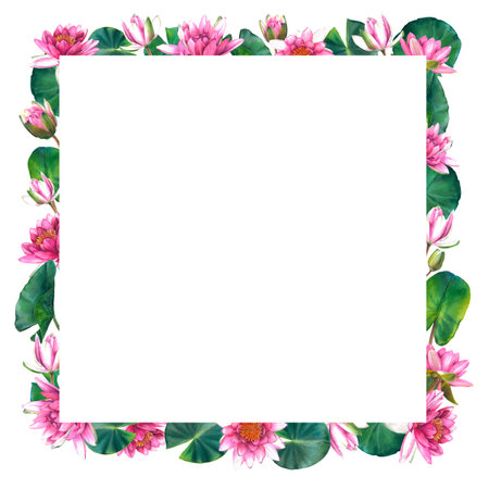 Floral square frame with pink water lily flowers, leaves and buds. Hand drawn watercolor illustration of lotus on isolated background. Bouquet of exotic greenery for spa, zen.の写真素材