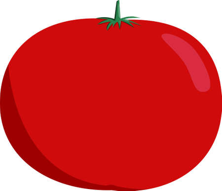 Tomato flat illustration for menu or designのイラスト素材