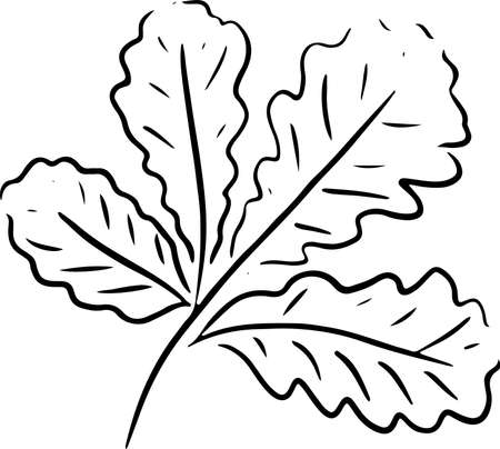 black outline of autumn leaves sketch iconsのイラスト素材