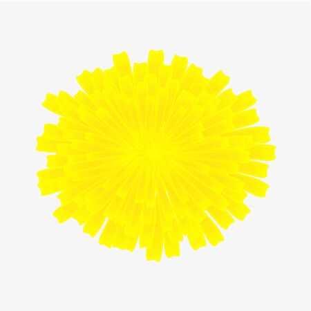 One yellow flower of dandelion isolated on white background.のイラスト素材