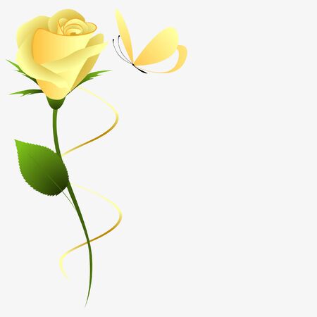 Yellow rose with butterfly on white background.のイラスト素材