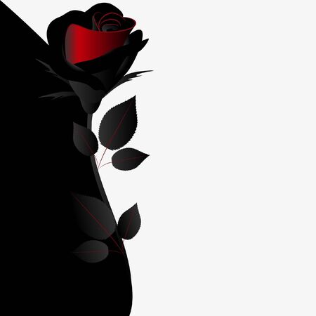 Illustration of beauty black and white floral background with rose.のイラスト素材