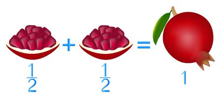 Action relationship of addition halves, examples with garnet. Educational game for children.のイラスト素材