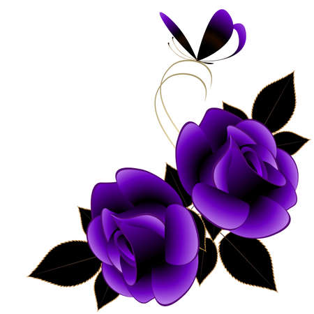 Corner composition with violet roses and butterfly, isolated on white background.のイラスト素材