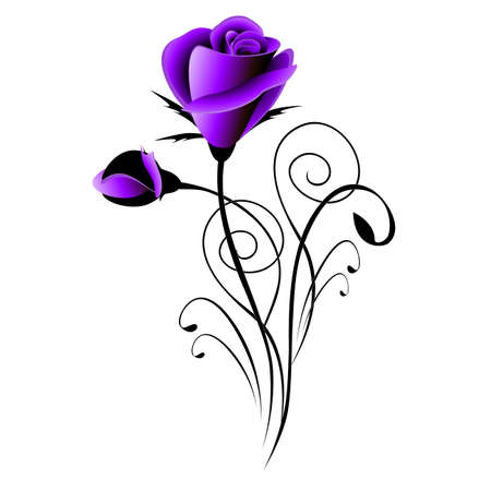 Purple roses on a white background, design element.のイラスト素材