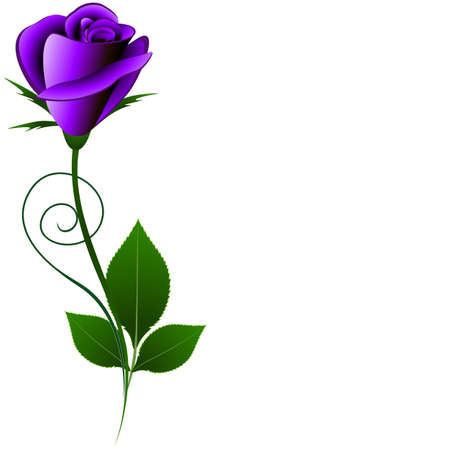 Floral background with violet rose.のイラスト素材