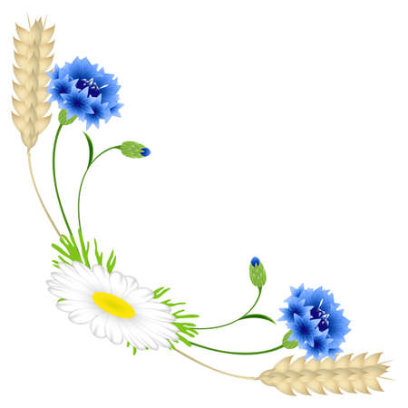 Corner with blue cornflowers and chamomile, wheat ears on a white background.のイラスト素材