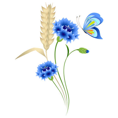 Blue cornflowers and wheat ears with a butterfly on a white background.のイラスト素材