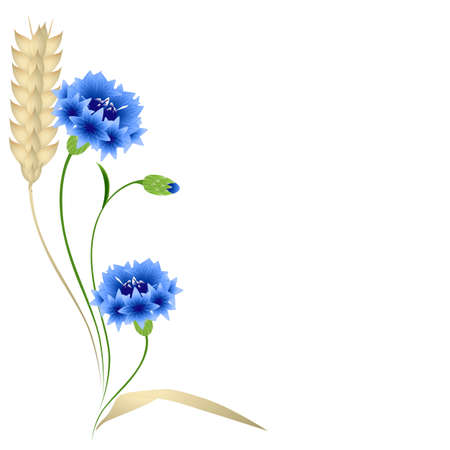Floral background with wheat ears and blue cornflowers.のイラスト素材