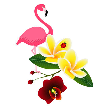 Pink flamingo with frangipani (Plumeria) with orchid flower and a ladybug on white background.のイラスト素材