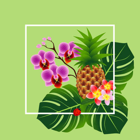 Summer banner, tropical flowers and leaves, on a green background.のイラスト素材