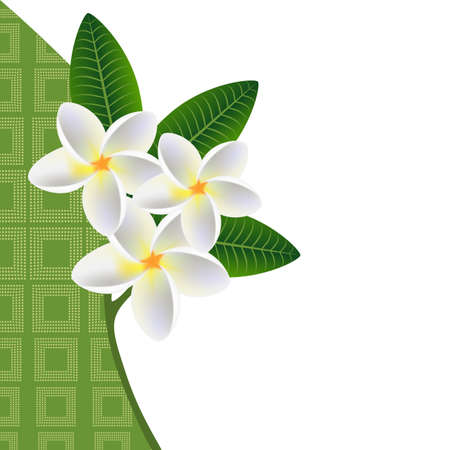Illustration of a floral background with a sprig of plumeria frangipani (Plumeria) with leaves.のイラスト素材