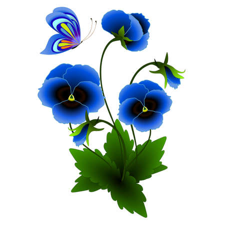 Blue pansies with a butterfly.のイラスト素材