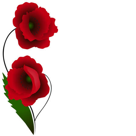 Floral background with flowers poppies.のイラスト素材