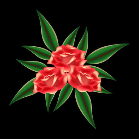 Bouquet of roses and leaves on a black background.のイラスト素材