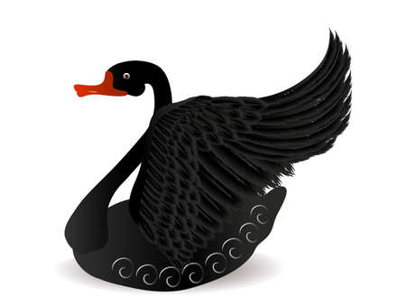 Black swan.のイラスト素材