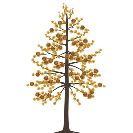 Dahurian gmelin larch tree in autumn on a white background.のイラスト素材