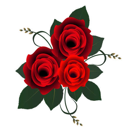 Bouquet of roses on a white background.のイラスト素材