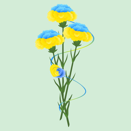 Yellow-blue carnations with a ribbon on a green background.のイラスト素材