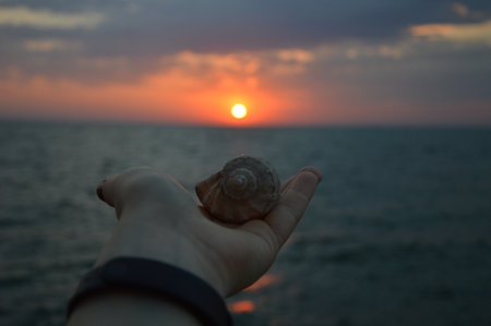 A close-up shot of a hand holding a seashell with the sea and a vibrant sunset in the background. A...