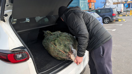 Man Loading Wrapped Christmas Tree Into Car Trunk After Holiday Purchaseの写真素材