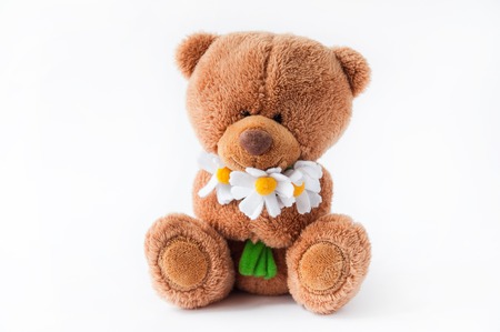 beautiful soft plush toy bearの写真素材