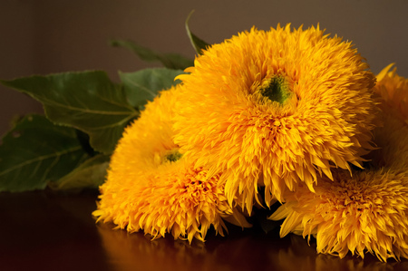 beautiful large bouquet of sunflowersの写真素材