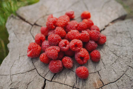 raspberries in the woods on a wooden stumpの写真素材