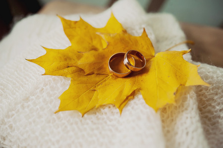 Beautiful wedding wedding rings on maple slipsの写真素材
