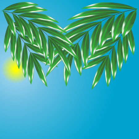 Silhouette of palm tree on beach. Sun with reflection in water and seagulls. Sunset in tropical place. Vector illustrationのイラスト素材