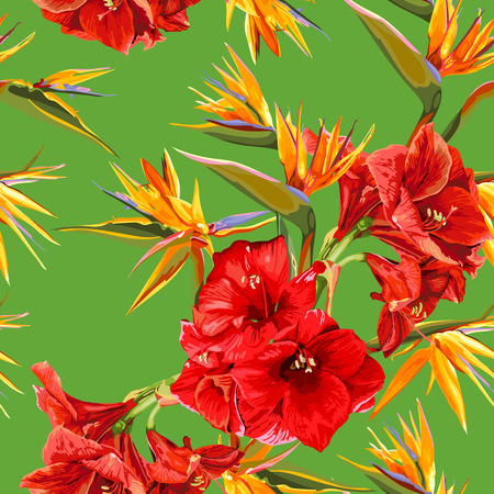 seamless pattern of flowers of amaryllis and strelitziaのイラスト素材