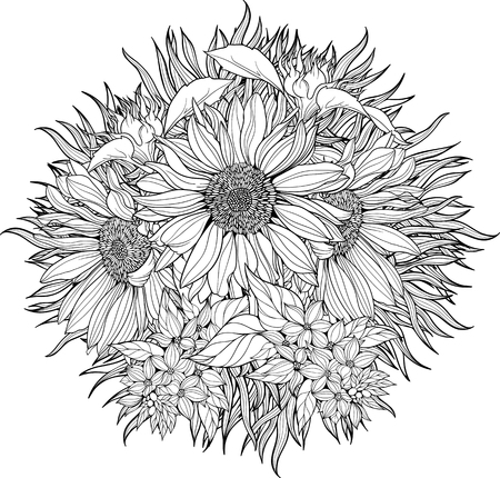 Close-up view of bunch of sunflowers. Coloring page.のイラスト素材