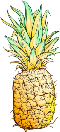 Isolated colorful image of pineapple. watercolor styleのイラスト素材