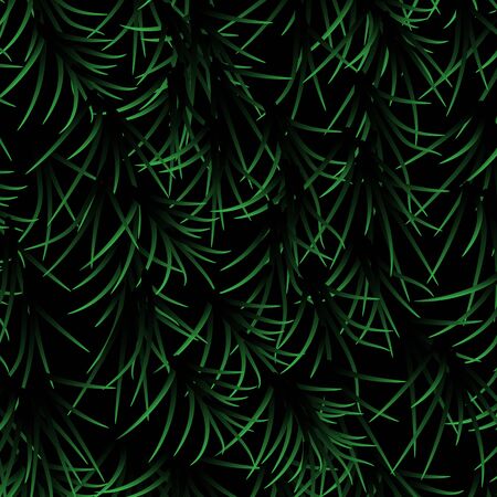 Background with fir tree branches. Christmas textureのイラスト素材