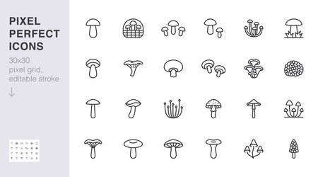 Forest mushroom line icon set. Chanterelle, champignon, shiitake, porcini, cep, truffle shiitake minimal vector illustration. Simple outline sign for edible fungus 30x30 Pixel Perfect Editable Strokeのイラスト素材