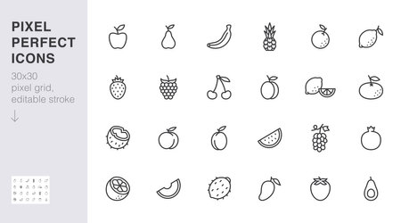 Fruits line icon set. Coconut, peach, apple, strawberry, pineapple, melon, pomegranate, mango minimal vector illustration. Simple outline sign for healthy food. 30x30 Pixel Perfect, Editable Strokeのイラスト素材