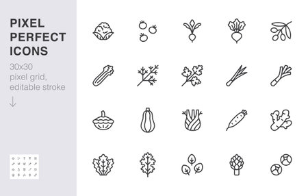 Vegetables line icon set. Kale, spinach, pumpkin, cherry tomato, cauliflower, beetroot, daikon minimal vector illustration. Simple outline sign for veggies. 30x30 Pixel Perfect, Editable Strokeのイラスト素材