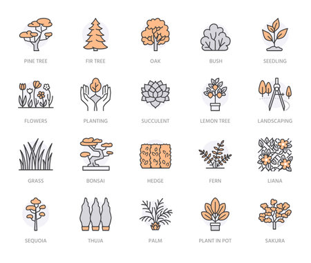 Trees flat line icons set. Plants, landscape design, fir tree, succulent, privacy shrub, lawn grass, flowers vector illustrations. Thin signs for garden store. Orange color. Editable Strokeのイラスト素材