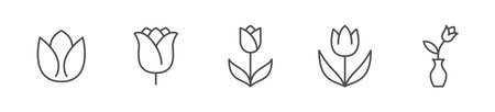 Tulip flat line icon set. Vector outline illustration of flower blossom. Black color thin linear sign for spring plantのイラスト素材