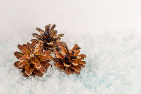 Christmas cones in sparkles in the snow on a white shiny background, top view, copy spaceの写真素材