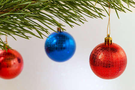 Three christmas balls hang on a pine branch on a light background, front view, copy spaceの写真素材