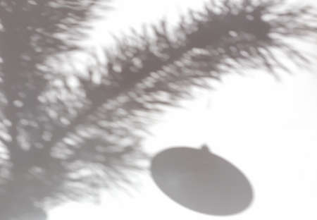 Abstract background of shadows of pine branches with hanging christmas tree toy, copy spaceの写真素材
