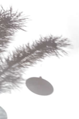 Abstract background of shadows of pine branches with hanging christmas tree toy, copy space, verticalの写真素材