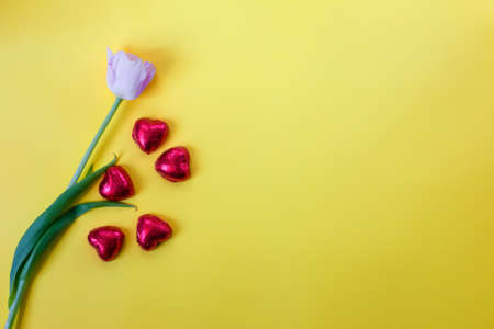One delicate pink tulip and five heart-shaped candies in a red package on a yellow background. Valentines Day. The perfect solution for your design on the theme of love and tendernessの写真素材