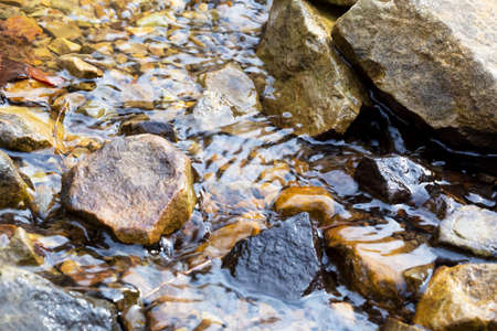 A mountain brook flows quietly among the rocks. A natural backdrop. Selective focus