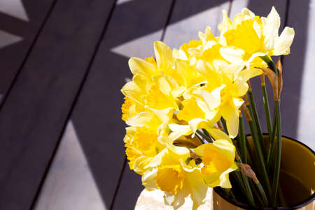 Fresh yellow daffodils, sunlit, in a mug on the veranda on the table. Beauty in simplicity and...