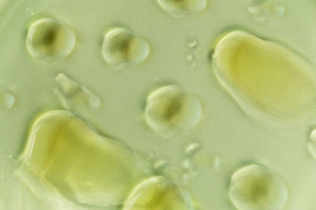 Yellow oil stains in the water on a yellow background, a solution for any design. Selective Focus